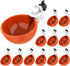 Lil'Clucker Large Automatic Chicken Waterer Cups | Chicken Water Feeder Suitable for