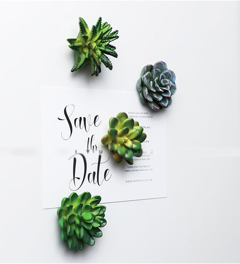 CoCoMe Funny 3D Resin Succulent Fridge Magnets, Set of 4