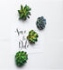 CoCoMe Funny 3D Resin Succulent Fridge Magnets, Set of 4