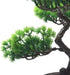 KOET Artificial Bonsai Pine Tree, 11 Inch Faux Potted Plant for Desk Display, Japanese Cedar Bonsai Plant for Home,