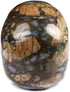 Skullis 2.0” Que Sera Stone Crystal Skull, Hand Carved Gemstone Fine Art Sculpture for Reiki Healing