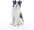 Conversation Concepts Border Collie Miniature Dog Figurine