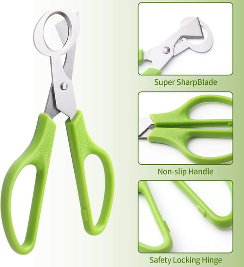 Calary 3Pcs Quail Egg Cutter Scissors Kitchen Egg Shears Tool, Green