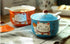 Ceramics Japanese Maneki Neko Lucky Cat, Sugar Salt Pepper Storage Jar with Lid