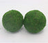 Nice purchase Handmade Natural Green Plant Moss Balls for Home Party Display Decor Props (6 in)