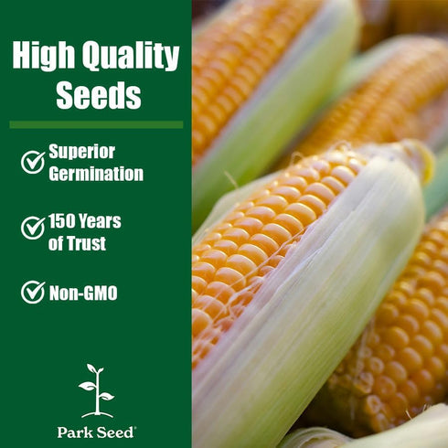 Pack 200 Park Seed Variety of Corn Seeds, Non-GMO Vegetable Seeds for Planting, Easy to Grow, Perfect for Harvesting