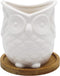 White Ceramic Owl Succulent Planter Pot with Drainage Tray, Cute Animal Cactus Container