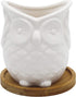 White Ceramic Owl Succulent Planter Pot with Drainage Tray, Cute Animal Cactus Container