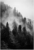 Forest Canvas Wall Art, Black and White Landscape Paintings Prints for Bedroom Living Room Decor (16x24in, Unframed)