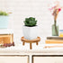 ARTORA 2PCS) Mid Century Modern Plant Stand, Wood Indoor Plant Holder Succulents Plant Pot Raiser Decorative Corner