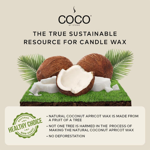 6.5oz Coconut Apricot Wax Candle for Home (Tiare), Vegan & Cruelty-Free, Hand Poured