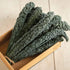 Generic 100+ Organic Dinosaur Kale Seeds Seeds