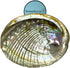 1 Abalone Shell 4 to 5 Inches | All Natural Smudge Bowl for Smudge Sticks, Incense, and Sage Smudge Kit. JC-011