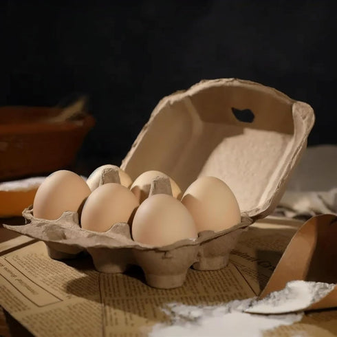 vwpvdeeg 50 Pack Dozen 6 Count (50 6 Count) Half Egg Cartons, Blank Natural Pulp Egg Carton Bulk for Chicken Eggs