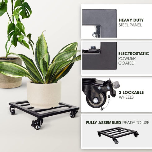 385 Lbs, 12Inch, Idzo Plant Caddy with Wheels Lockable Heavy Duty Trolley Capacity Metal Cast Iron Plant Dolly, Plant