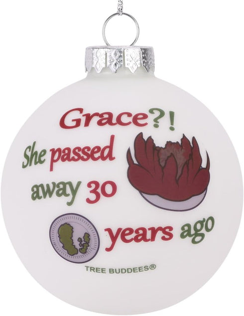 Tree Buddees Grace?! She Passed Away 30 Years Ago, Glass Christmas Ornament