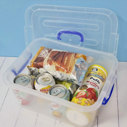2 Packs 8 Liter Clear Plastic Storage Bins with Lids, Storage Boxes