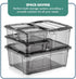 Tribello 12.5 Quart Storage Bins with Lids, Plastic Containers with Latching Lids for Organizing, Set of 2, Made in EU