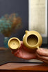 Clay Teapot 6.8oz/200ml, Handmade Chinese Yixing Zisha Purple Sand Small Xishi Tea Pot for Kungfu Tea