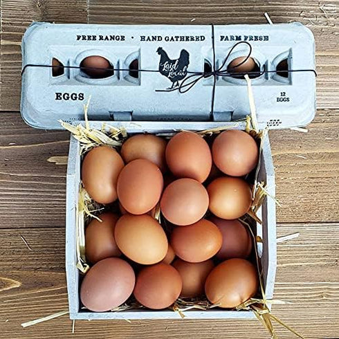 25 (25, Egg Cartons- Adorable Printed Vintage Design for Farm Fresh Eggs, Recycled Paper Cardboard, Sturdy & Reusable