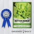 2000+ 2 Summer, Gardeners Basics, Buttercrunch Lettuce Seeds for Planting - Butterhead Boston Bibb Heirloom, Non-GMO