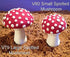 Scott Clark Woolley Small Spotted Toadstool Mold