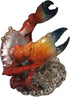 Counters Crab Wine Bottle Holder: Marine Life Inspired Wine Rest Statue for Tabletops and Unique Home Decor and Ideal