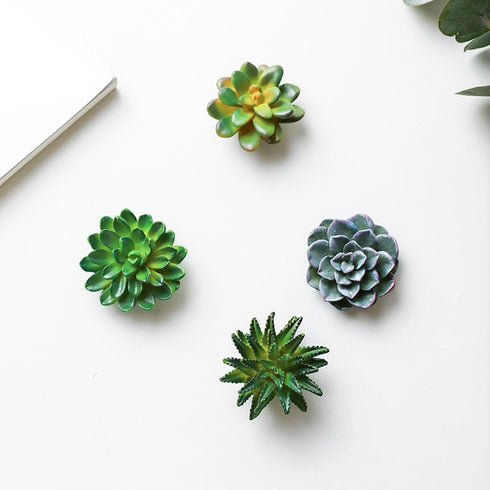 CoCoMe Funny 3D Resin Succulent Fridge Magnets, Set of 4