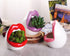 WHJY Sexy Lips Planter Pot, Pink Ceramic Succulent Planter