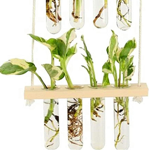 ORANGE NEI 2 Wall Hanging Planter, Tiered Plant Propagation Stations Plant Terrarium with Wooden Stand, Glass Planter