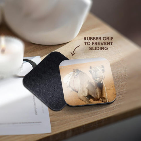 3dRose CST_164767_2 Smiling Camel at Bedouin Camp in Oman Photo by Rhonda Albom, Soft Coasters, Set of 8