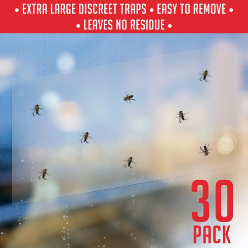 Window Fly Traps Indoor Clear (30 Pack) - Non-Toxic Sticky Fly Strips for Windows, Indoor Bug Sticky Traps