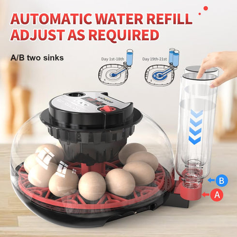 12 (RED-12) Automatic Egg Incubators for Hatching Eggs Whith Smart Temperature Control, Auto Turner, LED Candling