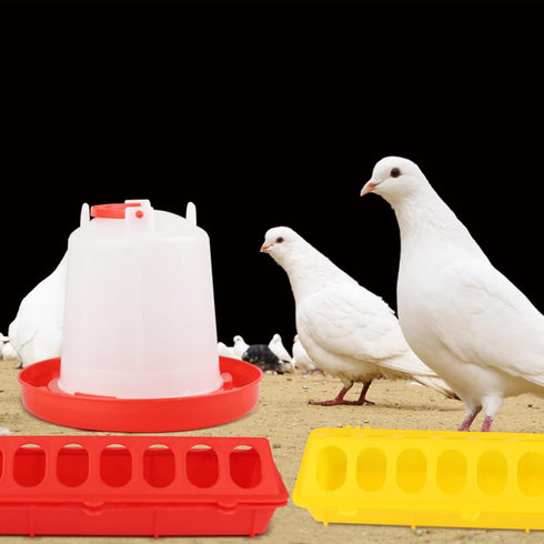 Eshylala 6 Pack Set, 1L Chicken Feeder Waterer Feeder Flip Top Feeding Dispenser with Anti-Spill Design for Pigeon
