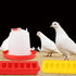 Eshylala 6 Pack Set, 1L Chicken Feeder Waterer Feeder Flip Top Feeding Dispenser with Anti-Spill Design for Pigeon