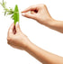 Chef'n Leaf Stripper for Kale, Chard, and Herbs - Quick & Easy