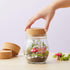 Juvale Large Tapered Cork Pucks & Plugs - Size #48, 3-Pack, 3.48 x 3.27 x 1.29 in Wide Cork Stopper for Sealing Jars &