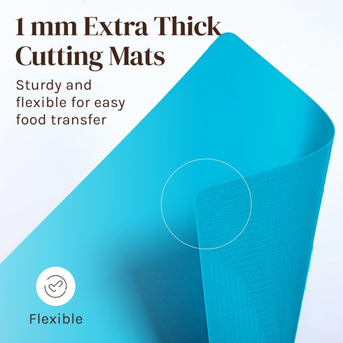 4 Piece Flexible Plastic Cutting Boards for Kitchen, BPA Free, Color Coded with Food Icons
