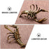 Kisangel Brass Lobster Figurine Feng Shui Statue Wealth Good Luck Sculpture Archaize Artware Chinese Tea Pet Nautical