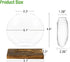 2-Pack, Kingbuy Round Glass Desktop Planter with Wooden Stand - Propagation Station for Small Hydroponic Plants, Spider