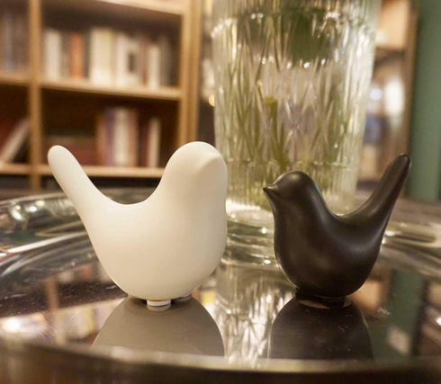 Birds Decorations for Living Room,Minimalis Statues Bookshelf Decor,Cute Decor Aesthetic for Dorm, Bedroom