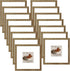 Memory Island 8x8 with 4x4 Photo Frames for Wall and Tabletop Display,