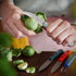 Opinel Les Essentials - Small Kitchen 4 Piece Knife Set, Corrosion Resistant High Carbon Steel (Primo)