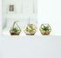 3 Pack Mkono Artificial Succulent in Mini Glass Geometric Terrarium, Miniature Potted Faux Plant Bookshelf Desk Boho