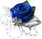Arlai 1 Pcs Wedding Bridesmaid Bride Wrist Corsage Decoration, Dark Blue Hand Flower