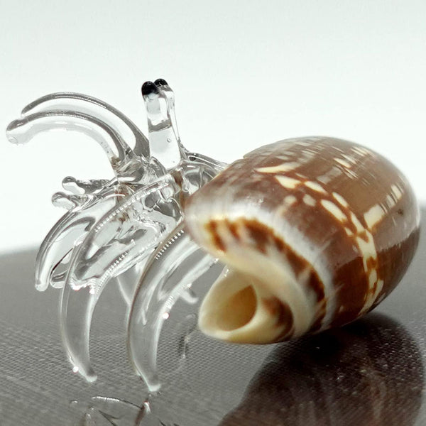 Sea Shell Seashell Hermit Crab Conch Tiny Miniature Figurines Beach Animals Hand