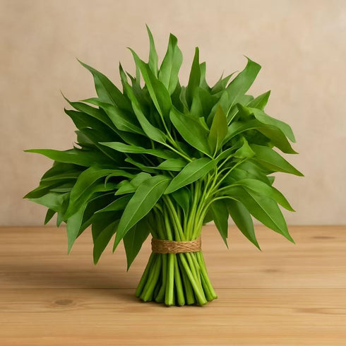 Loseedsoo Kong Xin CAI Seeds, 0.5 Ounce 300+ Green Leaf Vegetable Seeds for