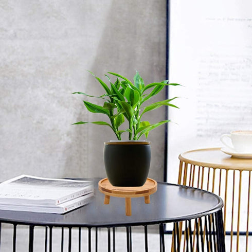 ARTORA 2PCS) Mid Century Modern Plant Stand, Wood Indoor Plant Holder Succulents Plant Pot Raiser Decorative Corner