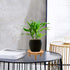 ARTORA 2PCS) Mid Century Modern Plant Stand, Wood Indoor Plant Holder Succulents Plant Pot Raiser Decorative Corner