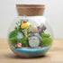 1PCS 500ML/17OZ Glass Favor Jars with Cork Lids, Transparent Round Food Storage Bottles for Kitchen